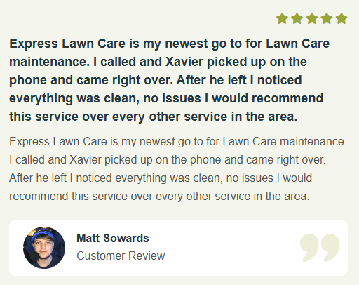 image_2025-11-24_114849325